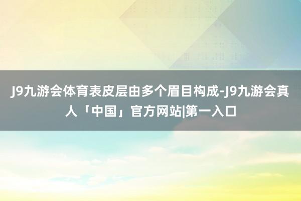 J9九游会体育表皮层由多个眉目构成-J9九游会真人「中国」官方网站|第一入口