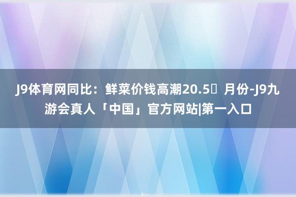 J9体育网同比：鲜菜价钱高潮20.5月份-J9九游会真人「中国」官方网站|第一入口