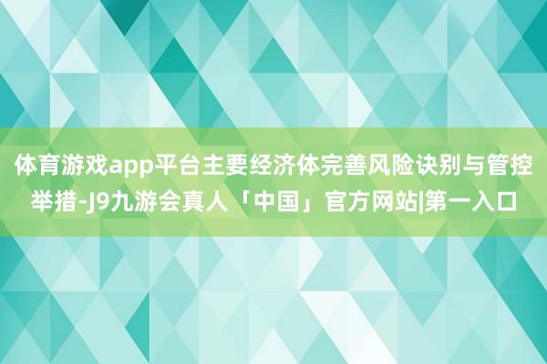 体育游戏app平台主要经济体完善风险诀别与管控举措-J9九游会真人「中国」官方网站|第一入口