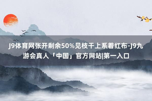 J9体育网张开剩余50%见枝干上系着红布-J9九游会真人「中国」官方网站|第一入口